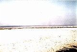 3eme TOUQUET 27 Fevrier 1977 (10)